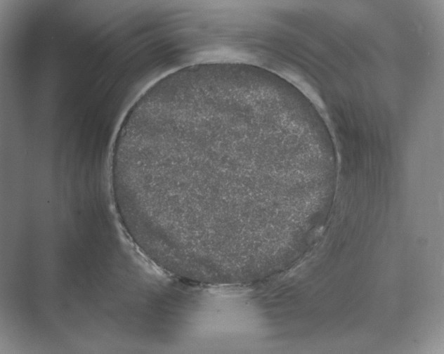 X0000072531008200608111741