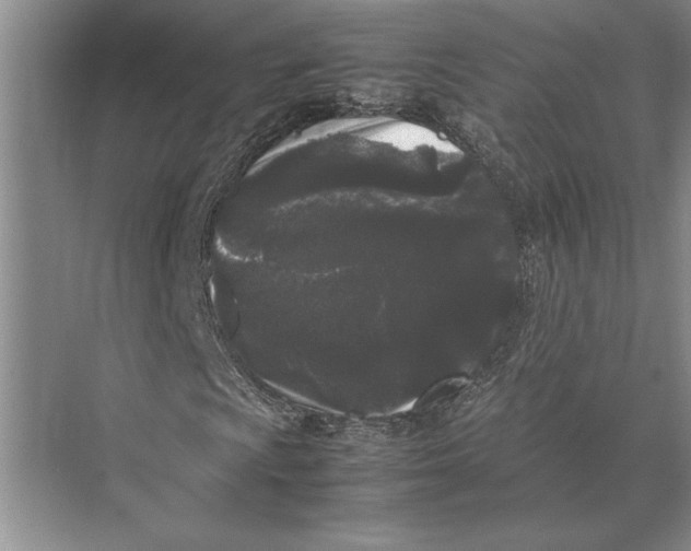 X0000072531009200608111740