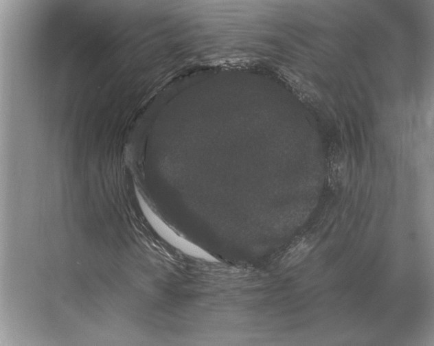 X0000072531010200608111740