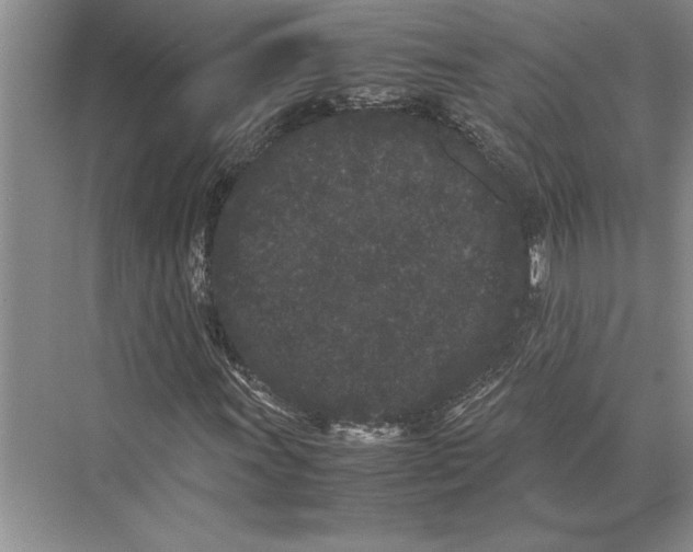 X0000072531011200608111740