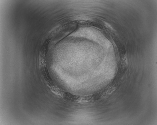 X0000072531014200608111740