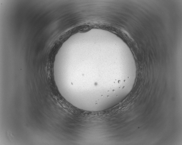 X0000072531016200608111740