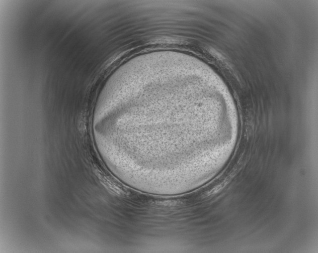 X0000072531017200608111740