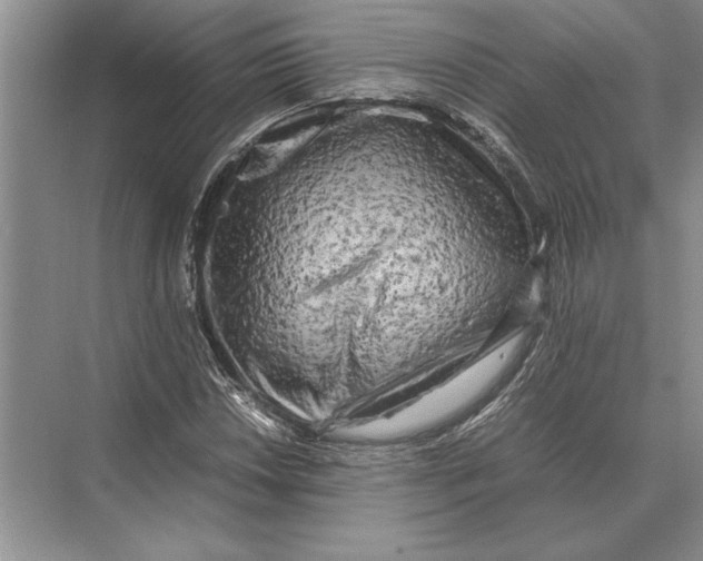 X0000072531018200608111741