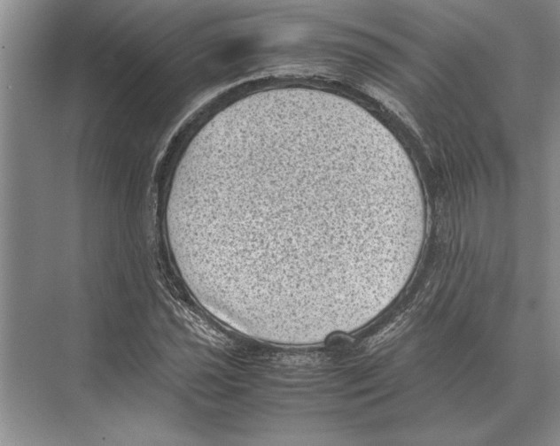 X0000072531021200608111741