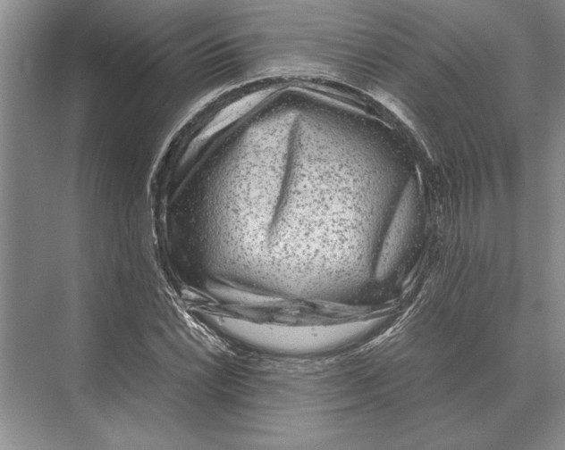 X0000072531022200608111741