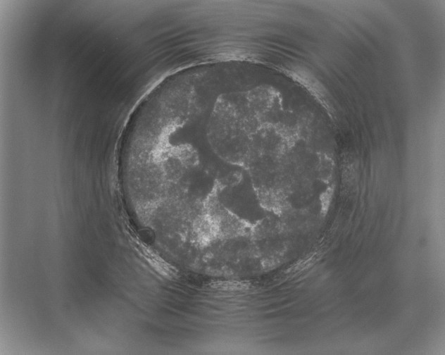 X0000072531023200608111741