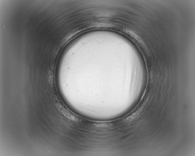 X0000072531025200608111741