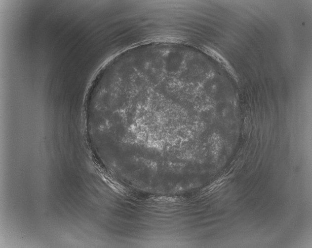 X0000072531027200608111741