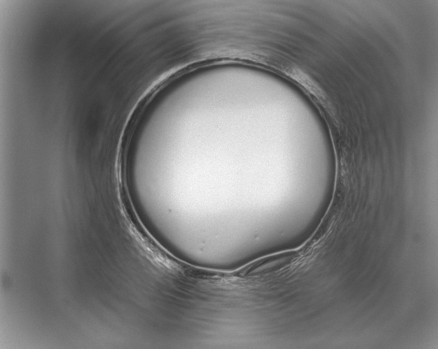 X0000072531028200608111741