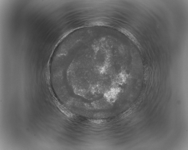 X0000072531031200608111741