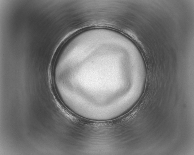 X0000072531032200608111741