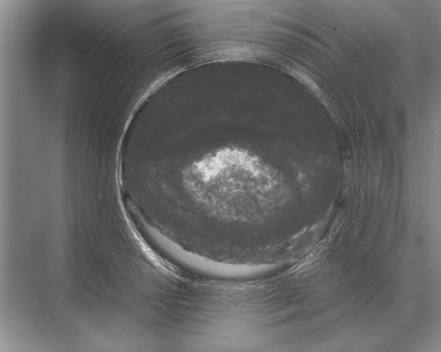 X0000072531034200608111741