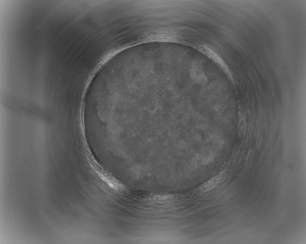 X0000072531035200608111741