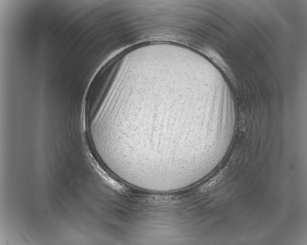 X0000072531036200608111741