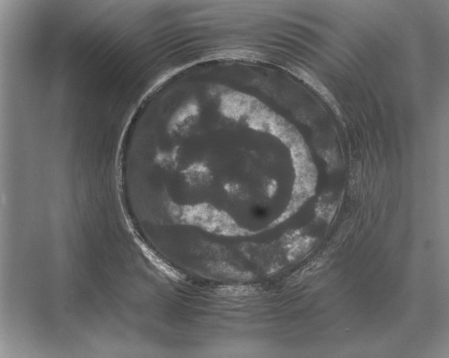 X0000072531037200608111741