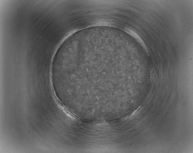 X0000072531043200608111741