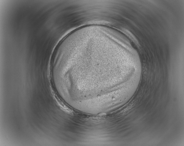 X0000072531044200608111741