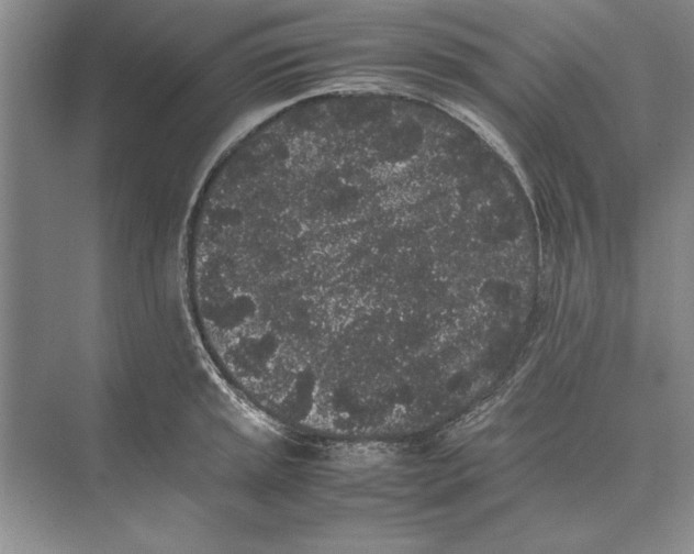 X0000072531045200608111741