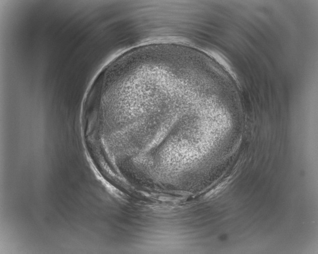 X0000072531046200608111741