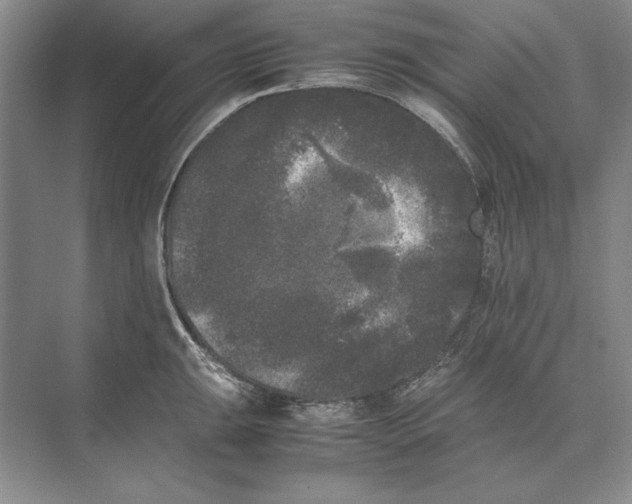 X0000072531047200608111741