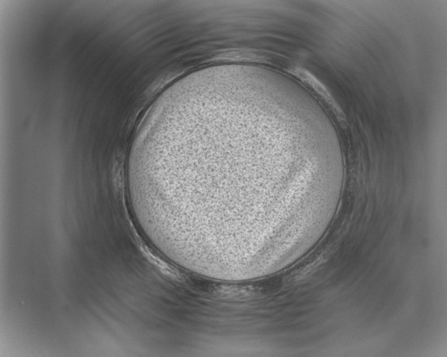 X0000072531049200608111741