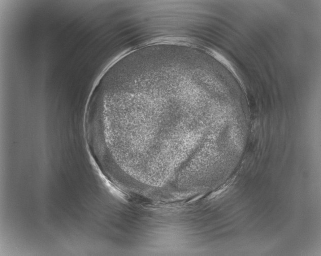 X0000072531050200608111741