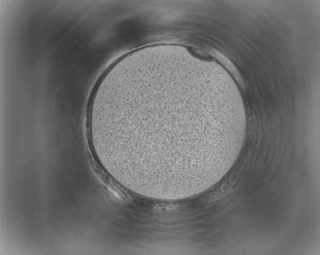 X0000072531051200608111741