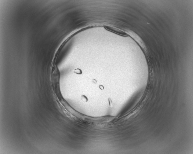 X0000072531052200608111741