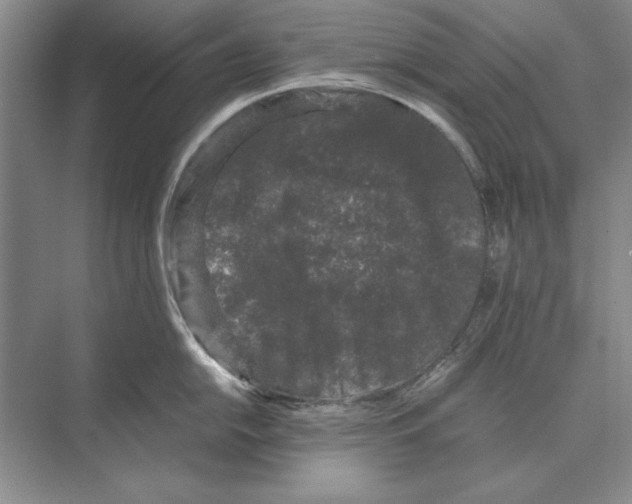 X0000072531054200608111741