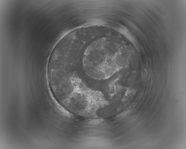 X0000072531055200608111741