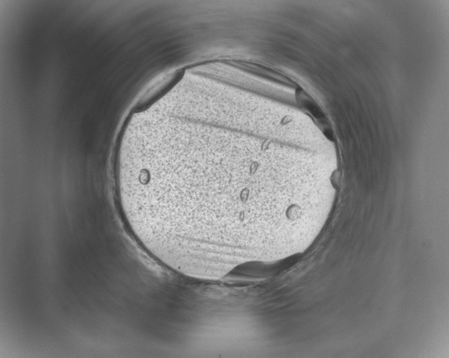 X0000072531056200608111741