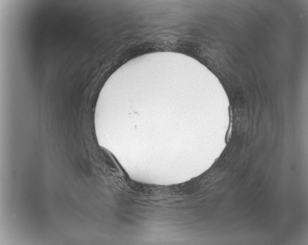 X0000072531057200608111740