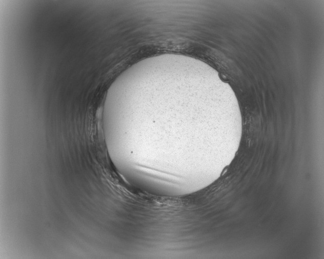 X0000072531058200608111740