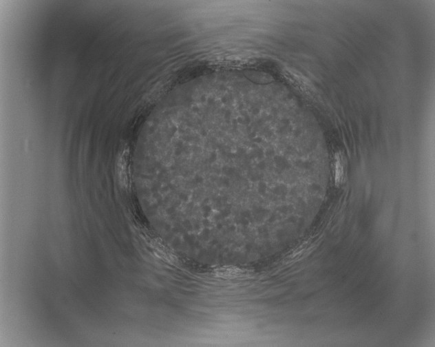 X0000072531059200608111740