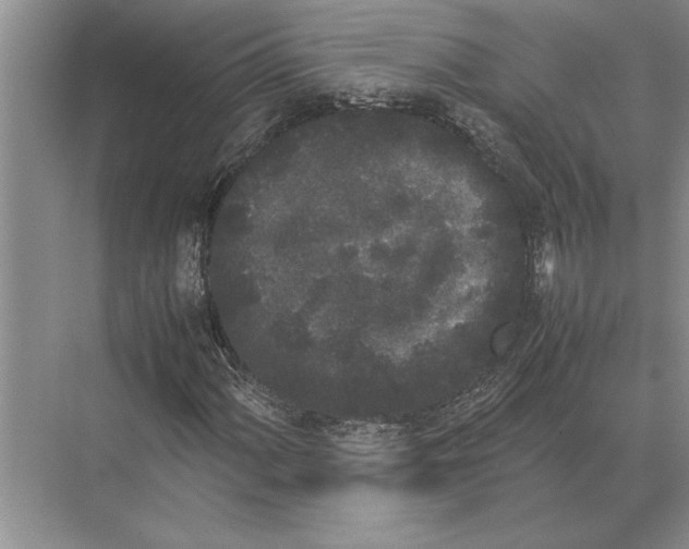 X0000072531060200608111740