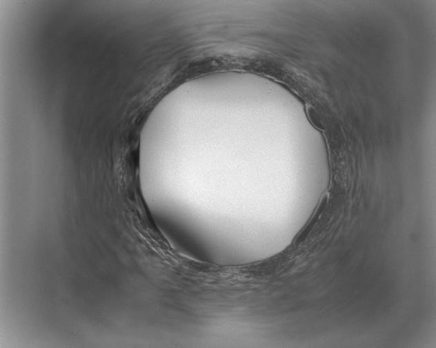 X0000072531061200608111740