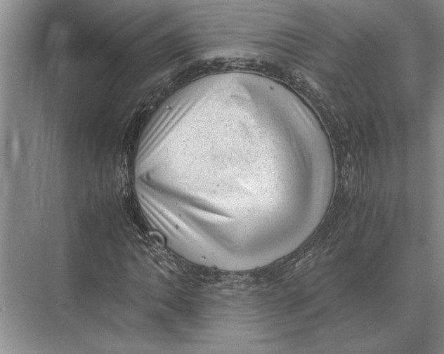 X0000072531062200608111740