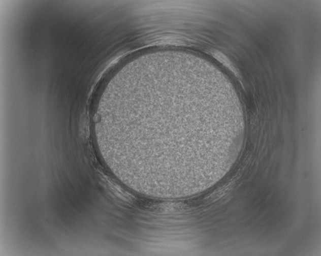 X0000072531067200608111740