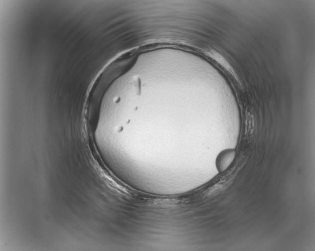 X0000072531068200608111740