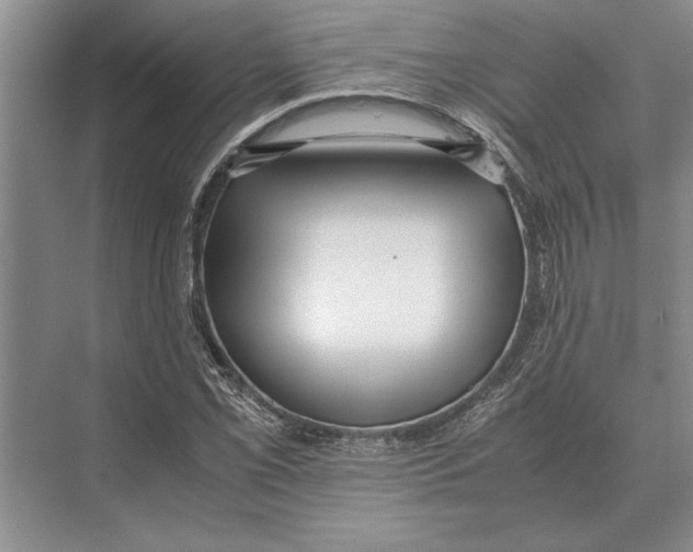 X0000072531069200608111740