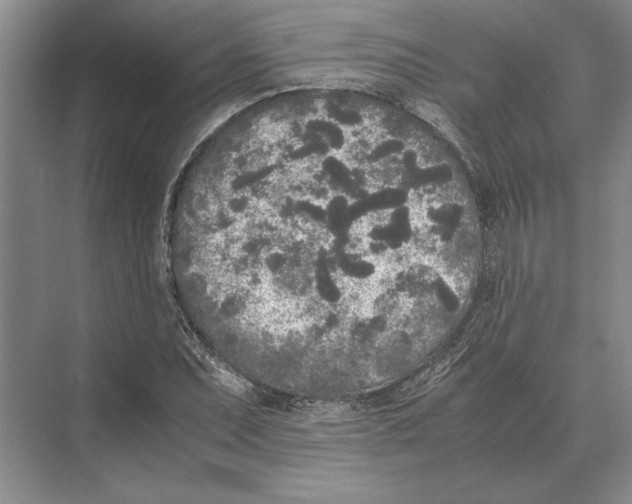 X0000072531071200608111740