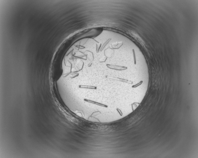 X0000072531072200608111740