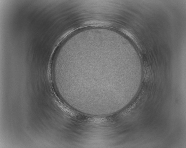 X0000072531074200608111740