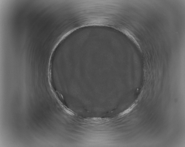 X0000072531077200608111740