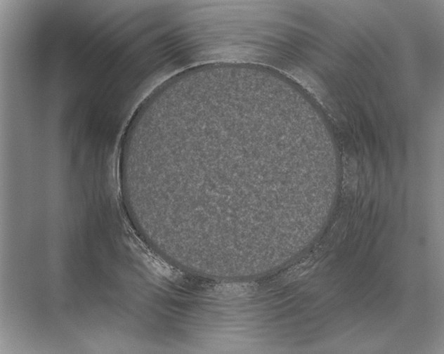 X0000072531078200608111740