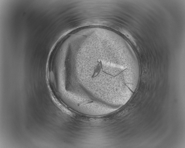 X0000072531080200608111740