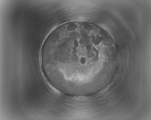 X0000072531083200608111740