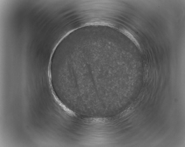 X0000072531084200608111740