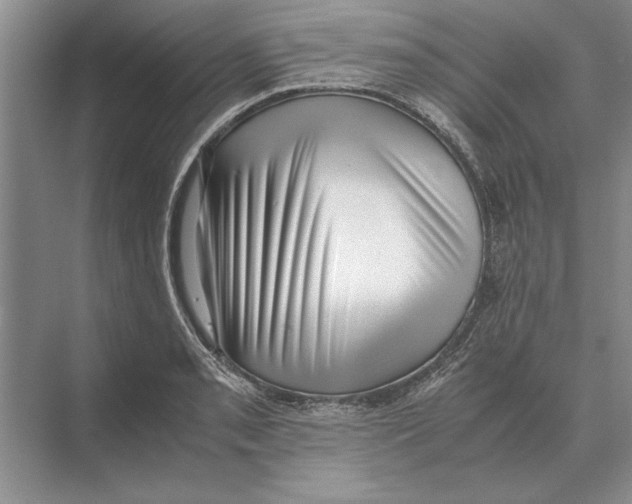 X0000072531085200608111740